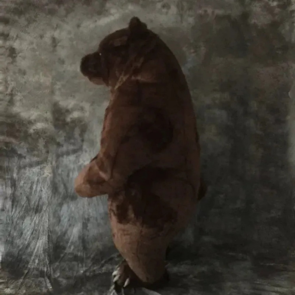 성인용 풍선 곰 인형 의상, 할로윈, 크리스마스 파티용 - Costumes 리뷰 및 가격
